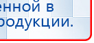 СКЭНАР-1-НТ (исполнение 01)  купить в Минусинске, Аппараты Скэнар купить в Минусинске, Скэнар официальный сайт - denasvertebra.ru