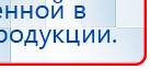 СКЭНАР-1-НТ (исполнение 01 VO) Скэнар Мастер купить в Минусинске, Аппараты Скэнар купить в Минусинске, Скэнар официальный сайт - denasvertebra.ru